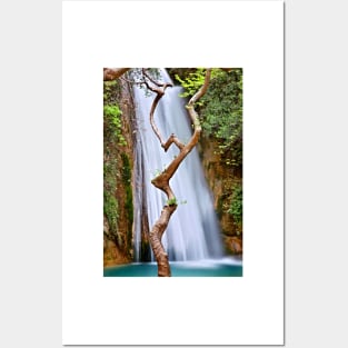 The dancing tree in Neda canyon Posters and Art